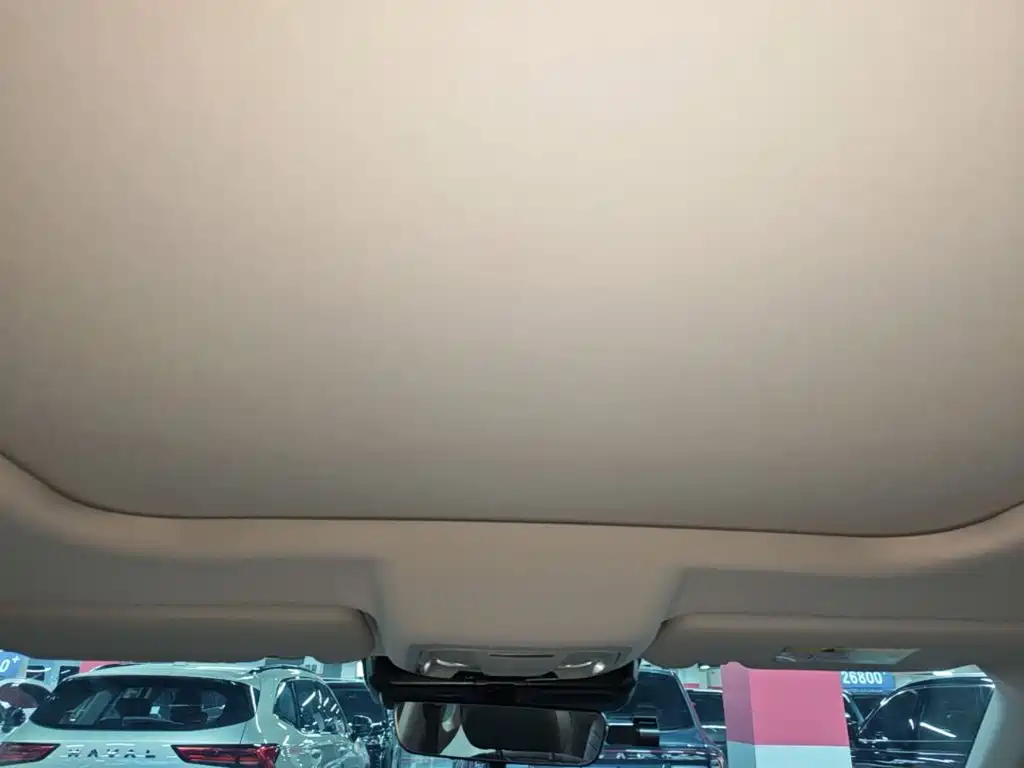 Haval Big Dog — миниатюра 18