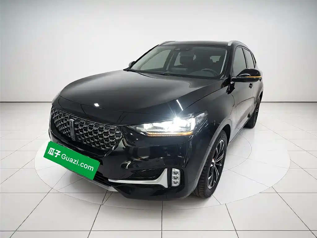 Wey Wey VV6 2021