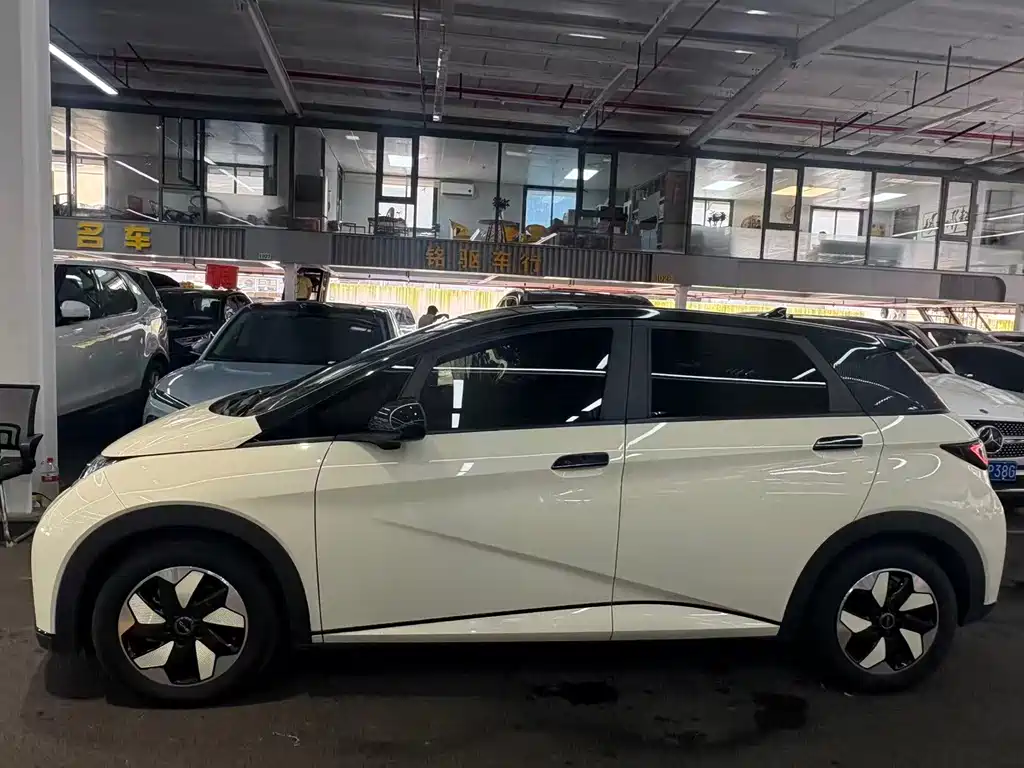 BYD Dolphin — миниатюра 3