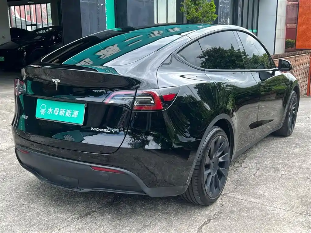 Tesla Model Y — миниатюра 12