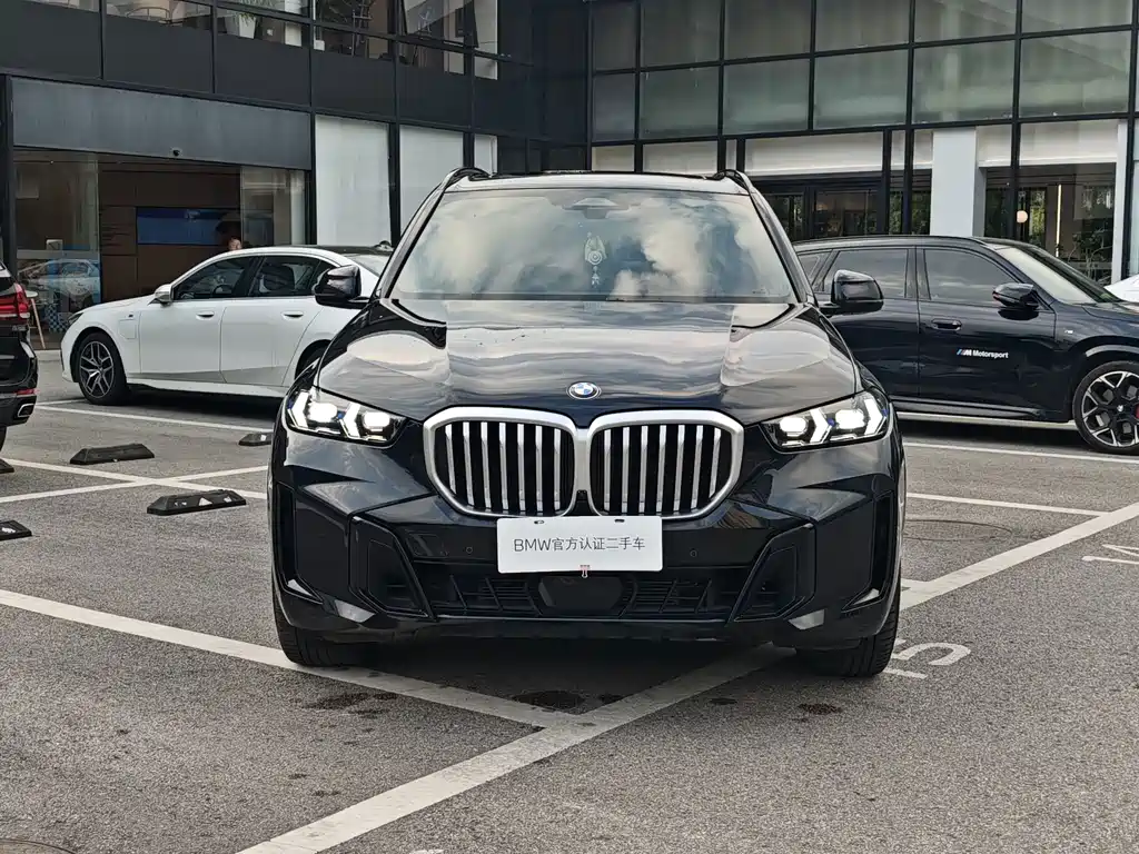 BMW X5 — миниатюра 4