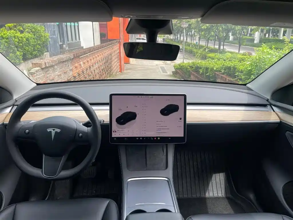 Tesla Model Y — миниатюра 3