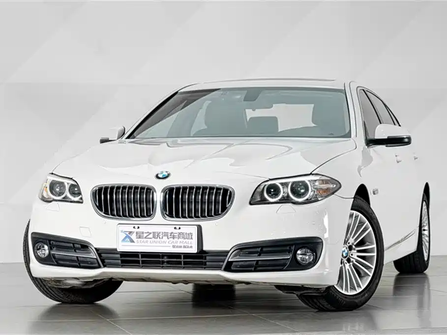 BMW 5 Series 5 2014 525Li Lead