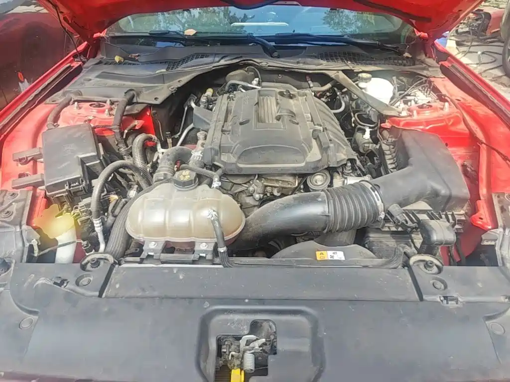 Ford Mustang — миниатюра 20