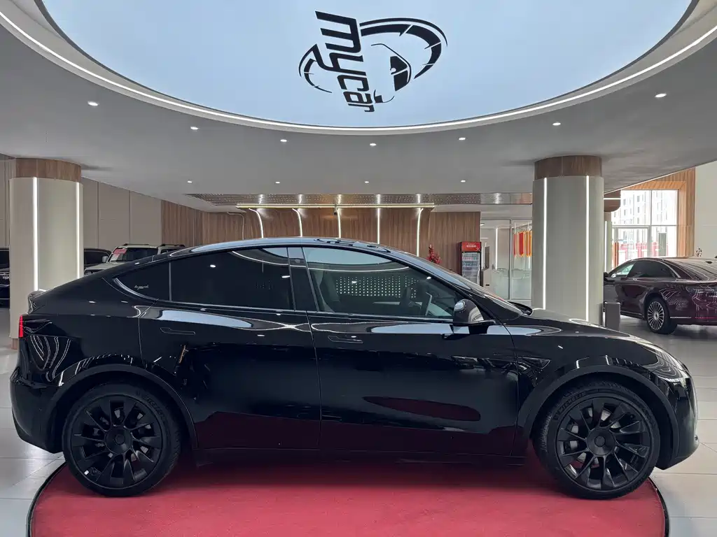 Tesla Model Y — миниатюра 4