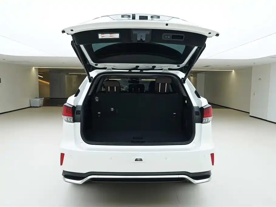 Lexus RX 2020 450hL Elegant 7 мест
