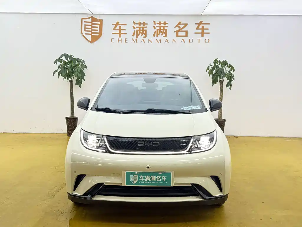 BYD Dolphin — миниатюра 2