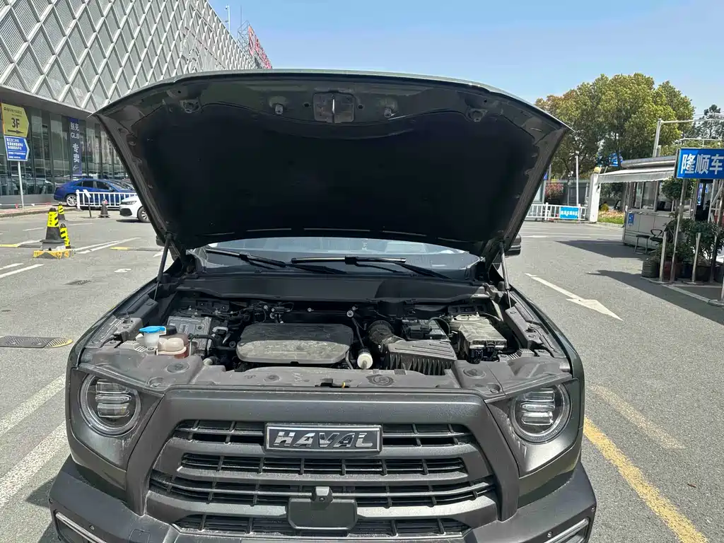 Haval Big Dog — миниатюра 11