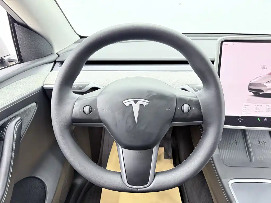 Tesla Model Y — миниатюра 5