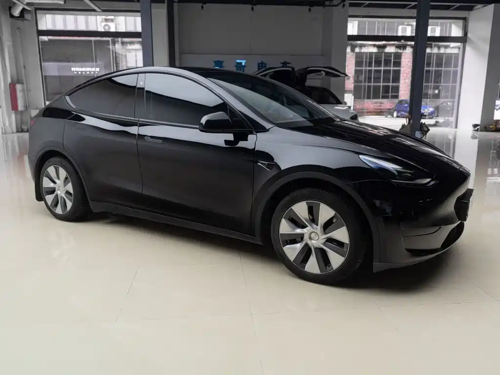 Tesla Model Y — миниатюра 4