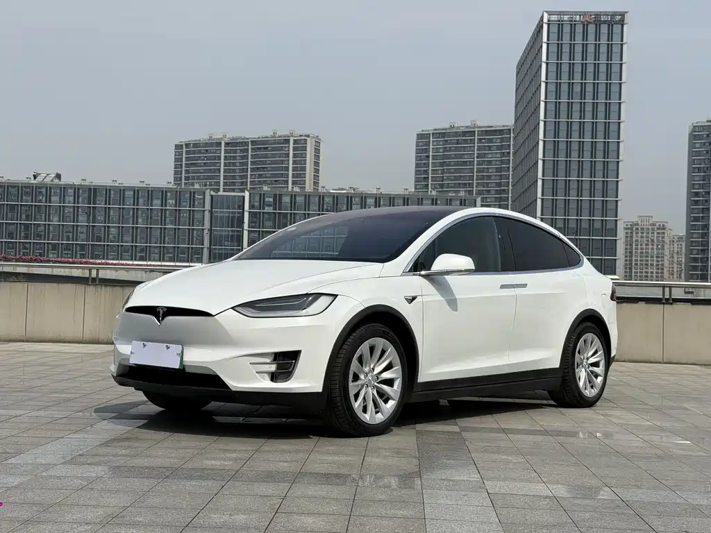 Tesla Model X 2020