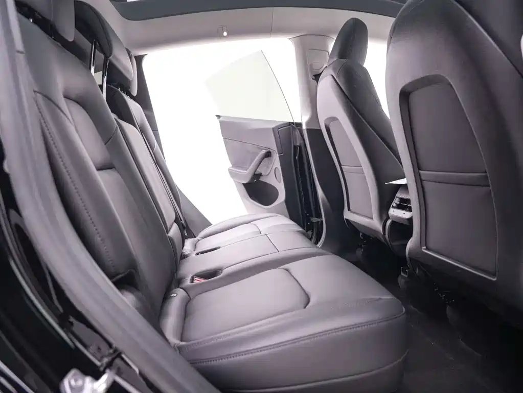 Tesla Model Y — миниатюра 25