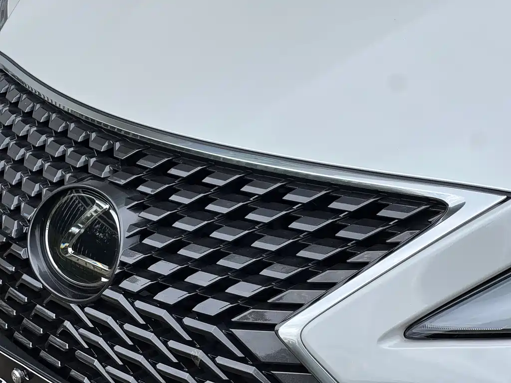 Lexus RX — миниатюра 40