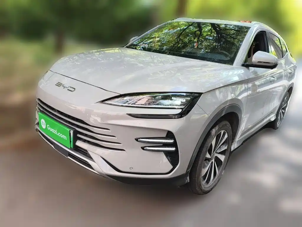 Byd PLUS New Energy 2024