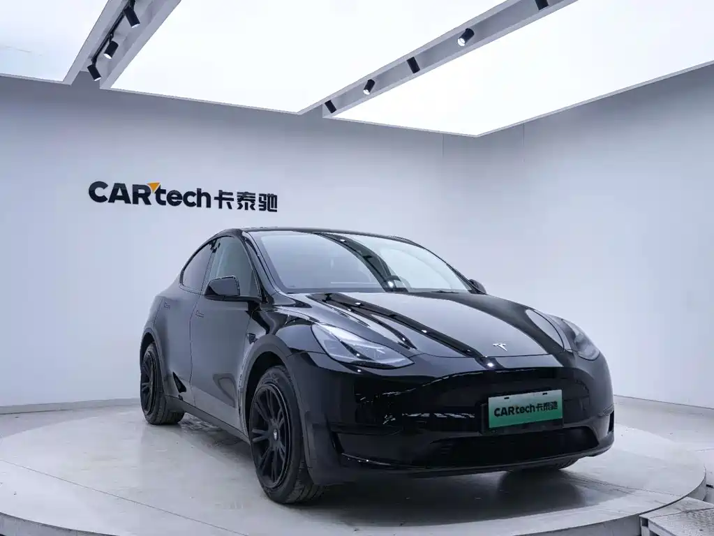 Tesla Model Y — миниатюра 17