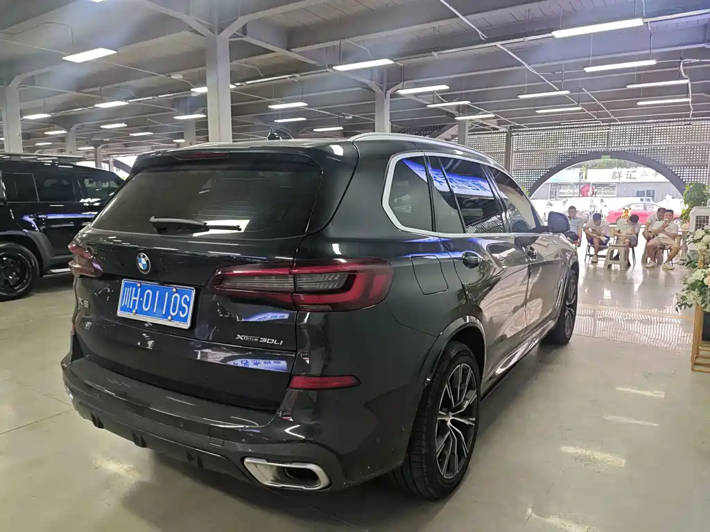 BMW X5 — миниатюра 8