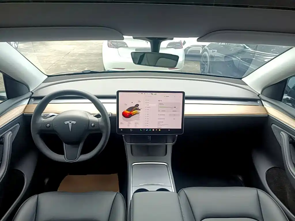 Tesla Model Y — миниатюра 10