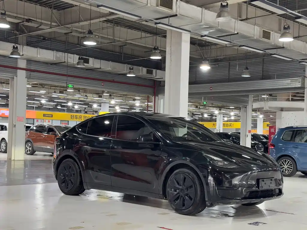 Tesla Model Y — миниатюра 3