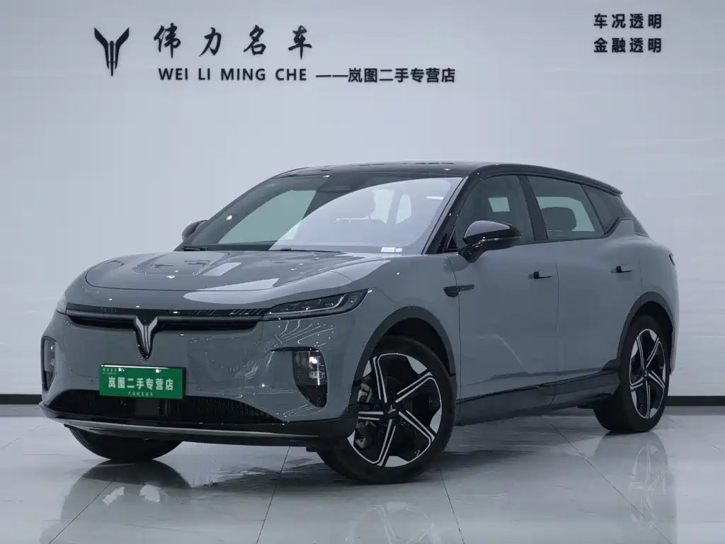 Voyah Zhiyin 2025