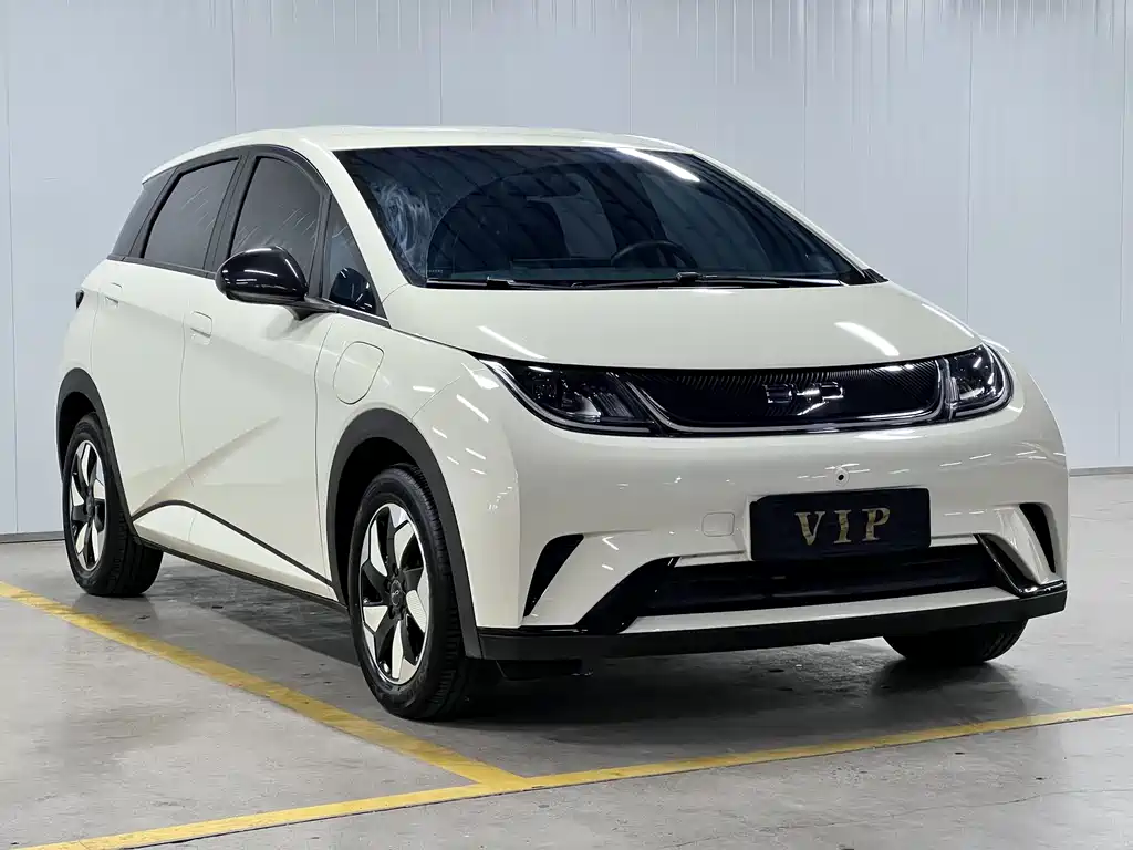 BYD Dolphin — миниатюра 3