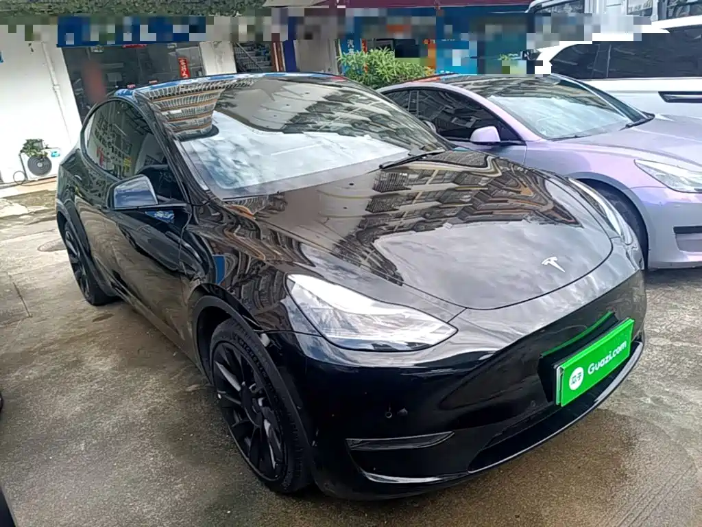 Tesla Model Y — миниатюра 4