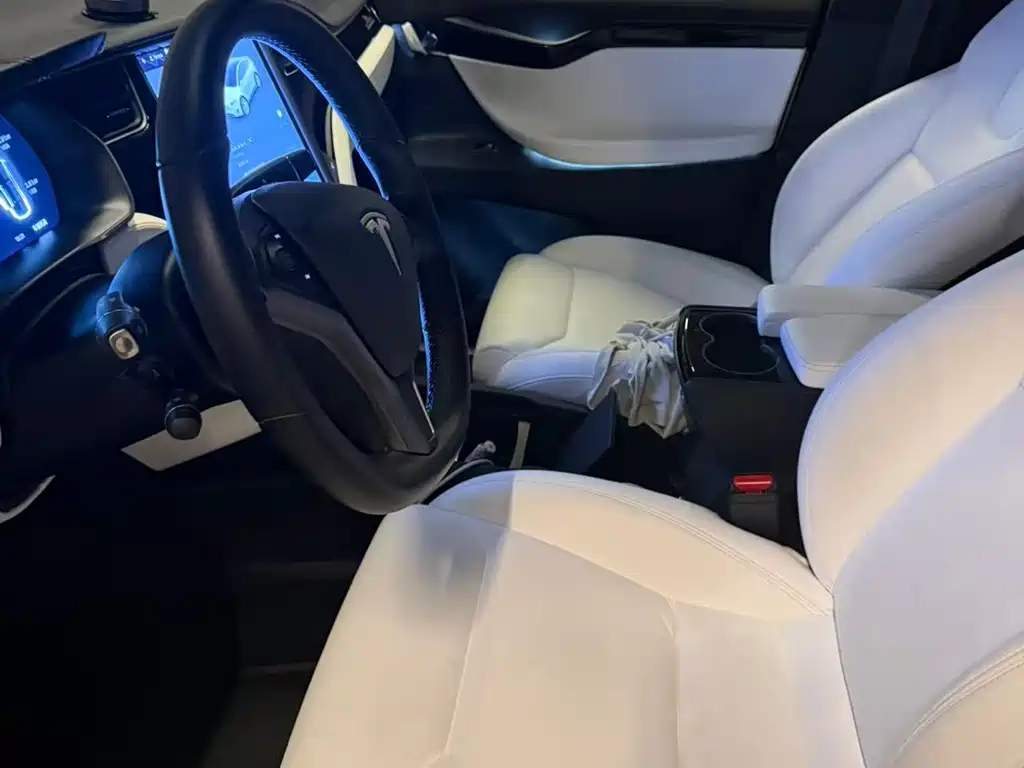 Tesla Model X — миниатюра 3