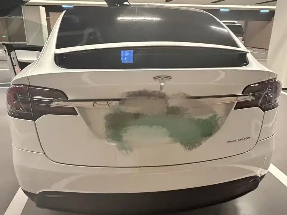 Tesla Model X — миниатюра 2