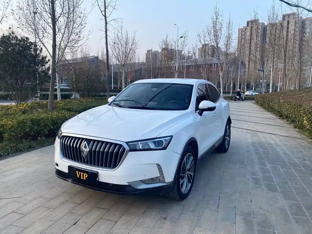 BORGWARD BAOWO BX6