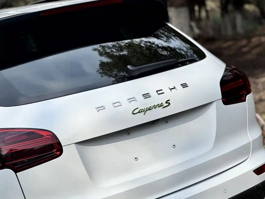 PORSCHE CAYENNE NEW ENERGY