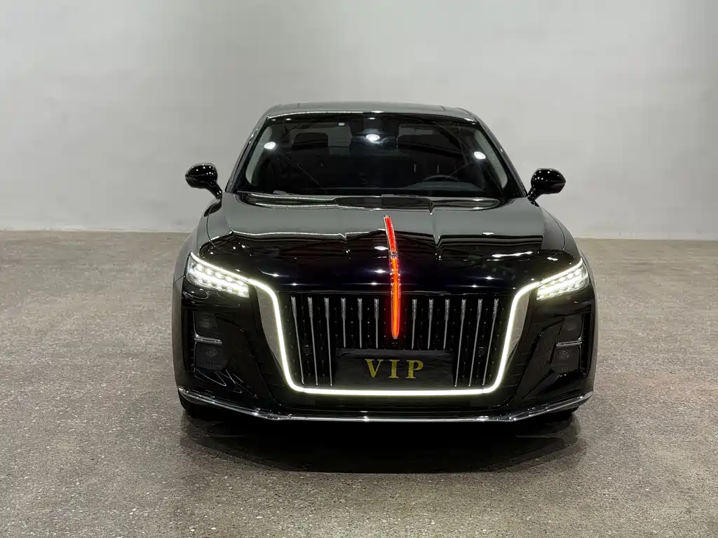 Hongqi Hongqi H5 — миниатюра 2