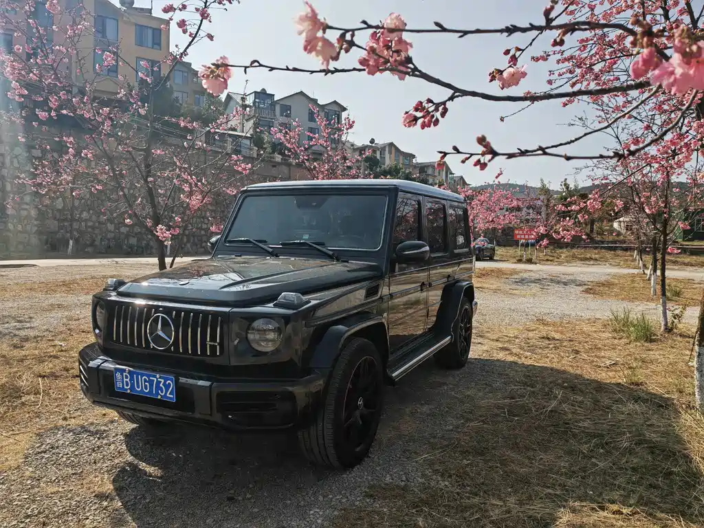Mercedes-Benz G-Class 2011