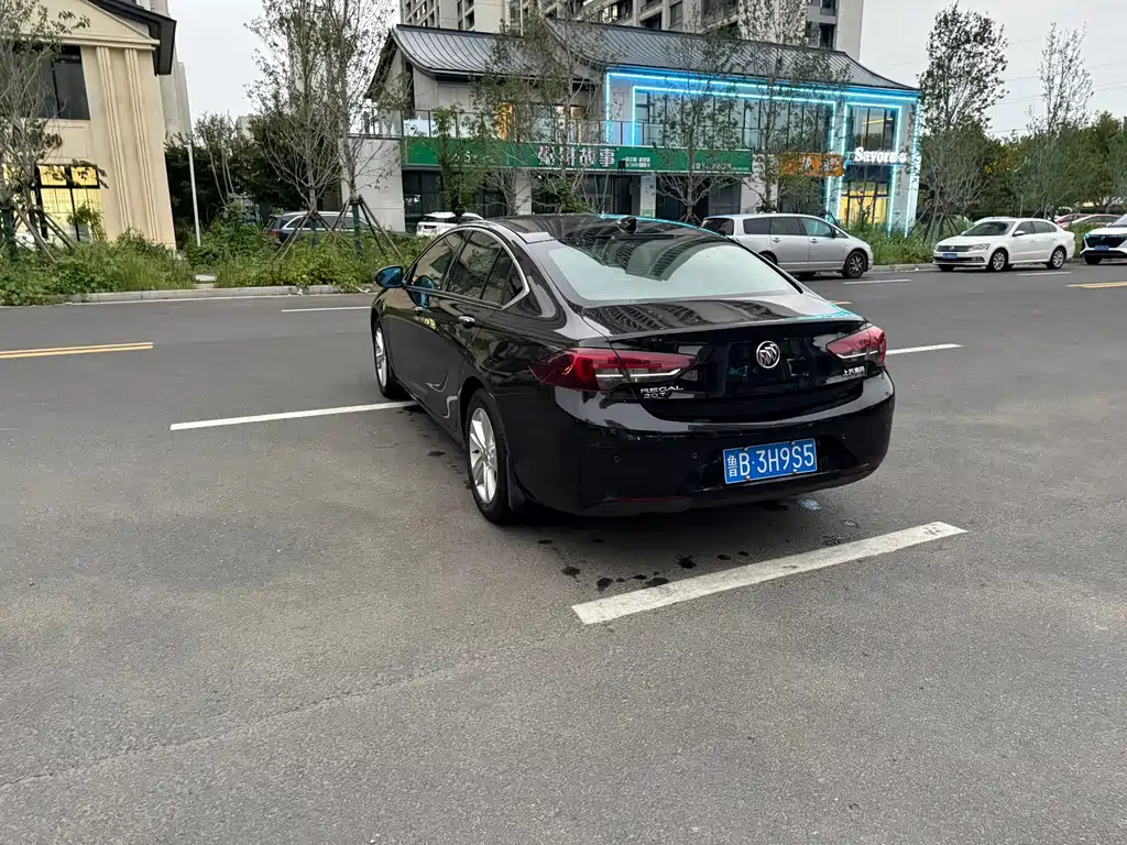 Buick Regal — миниатюра 8