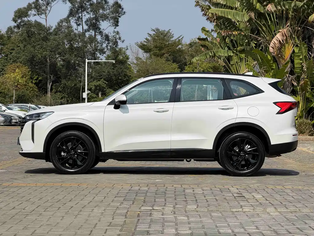 Haval H6 — миниатюра 5