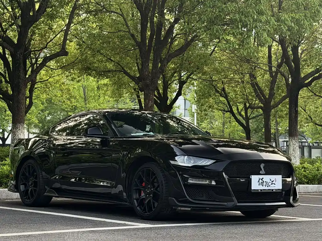 Ford Mustang — миниатюра 3