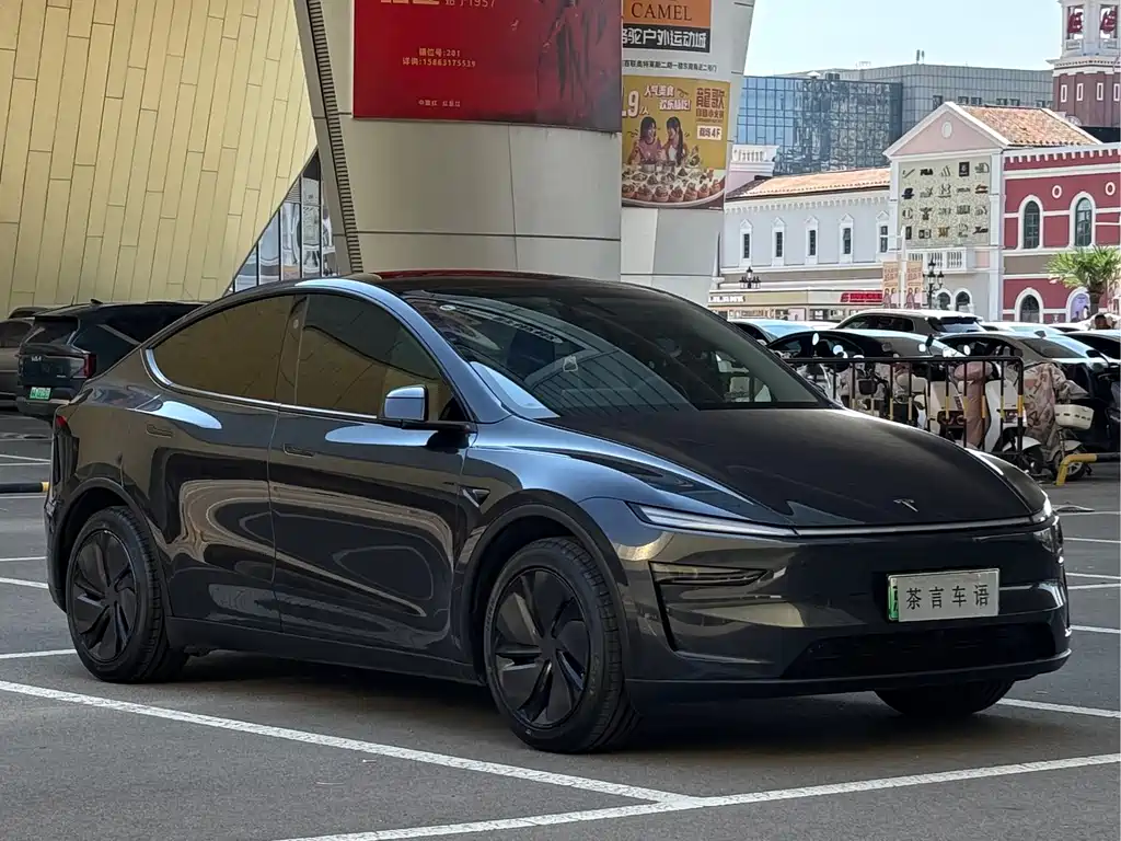 Tesla Model Y — миниатюра 3