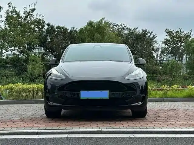 Tesla Model Y — миниатюра 2