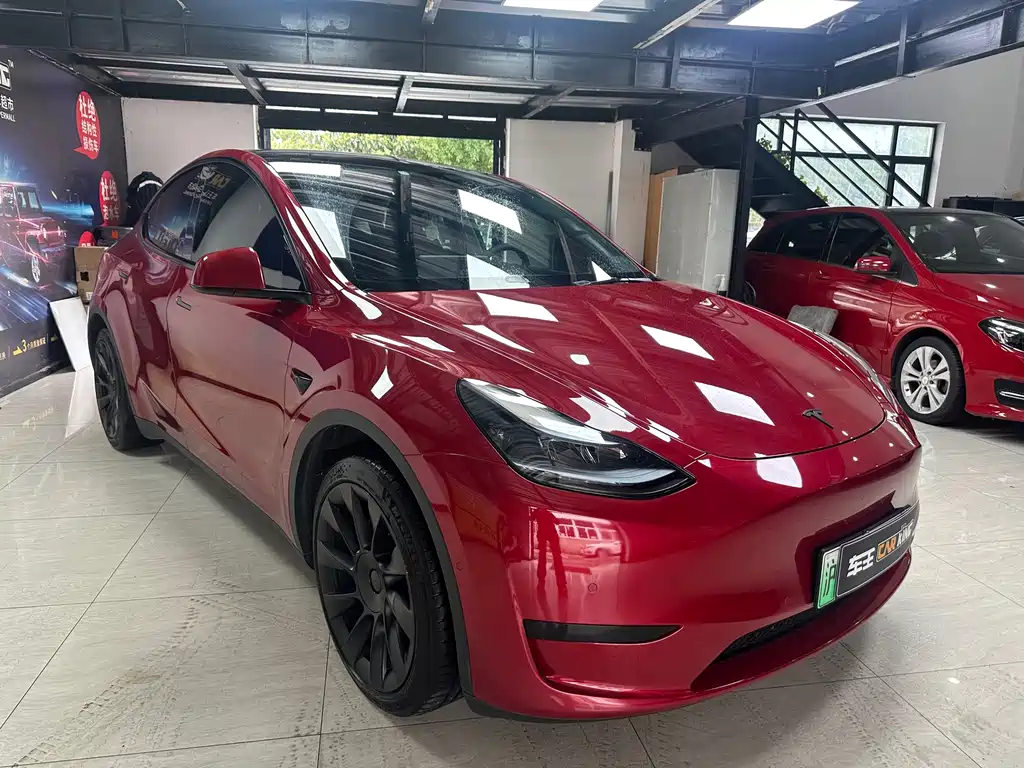 Tesla Model Y — миниатюра 3