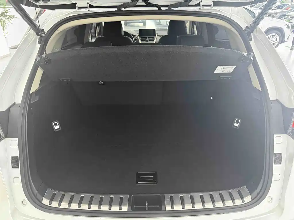 Lexus NX — миниатюра 19