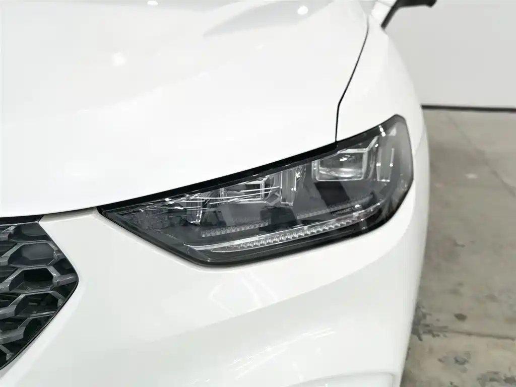 WEI PAI WEI BRAND VV5