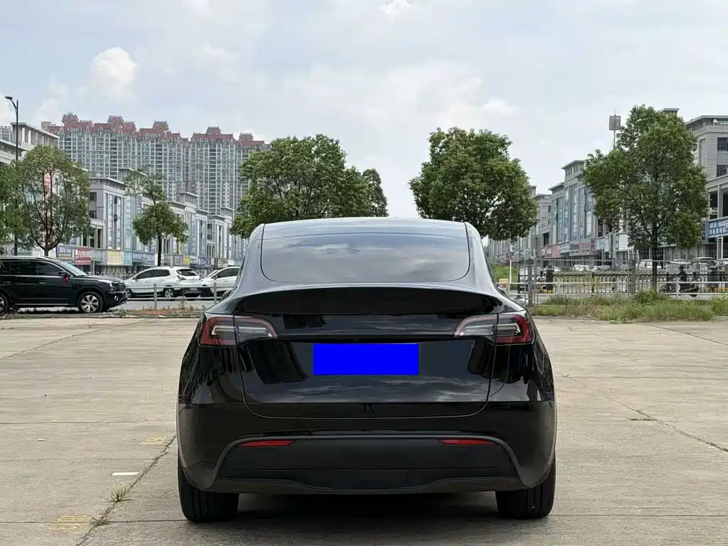 Tesla Model Y — миниатюра 8