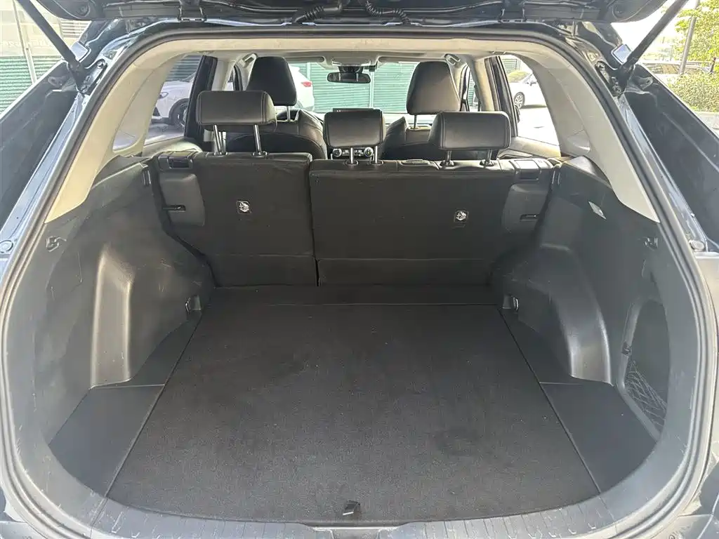 Toyota Wildlander 2020 2.5L E-CVT Luxury