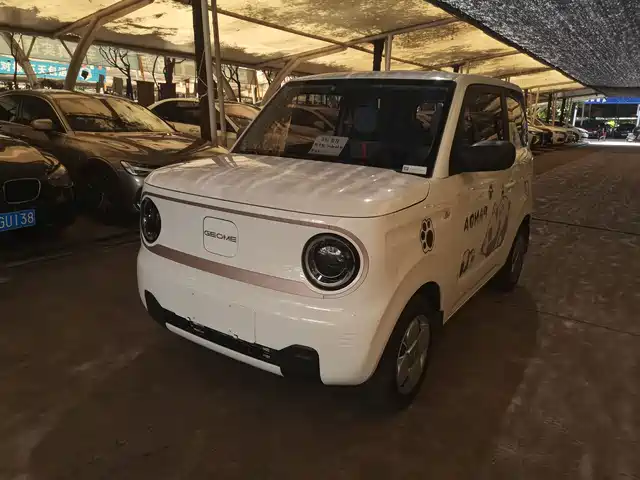 2024 Geely LC (Panda)