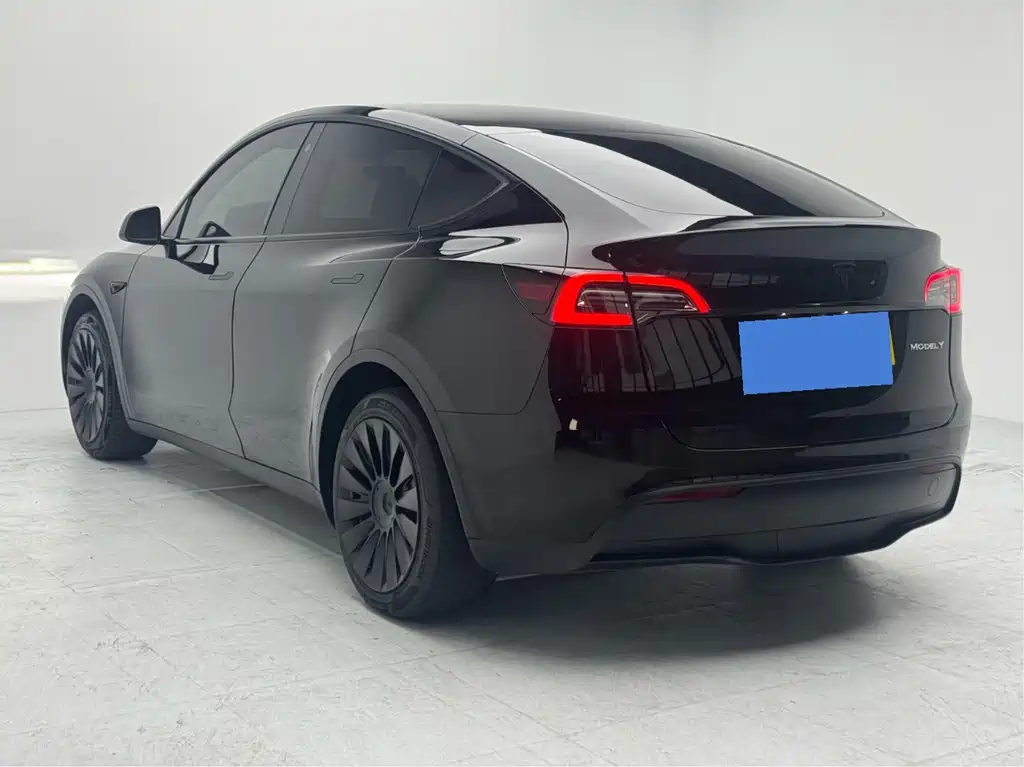 Tesla Model Y — миниатюра 5