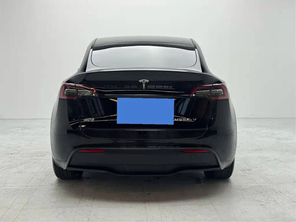 Tesla Model Y — миниатюра 5