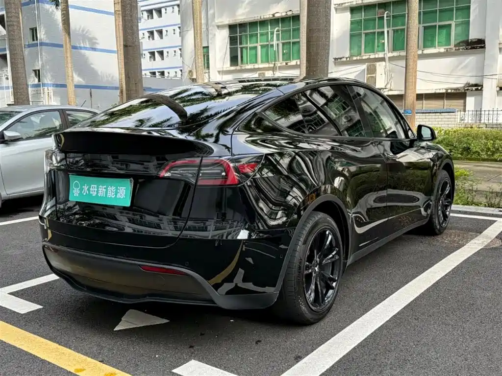 Tesla Model Y — миниатюра 14