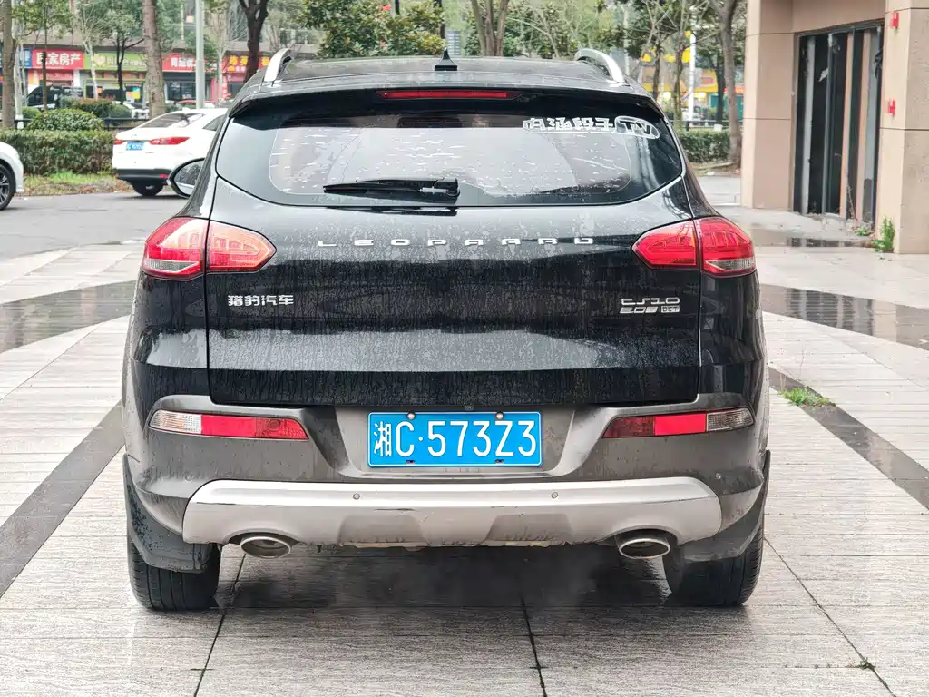 CHEETAH CARS CHEETAH CS10