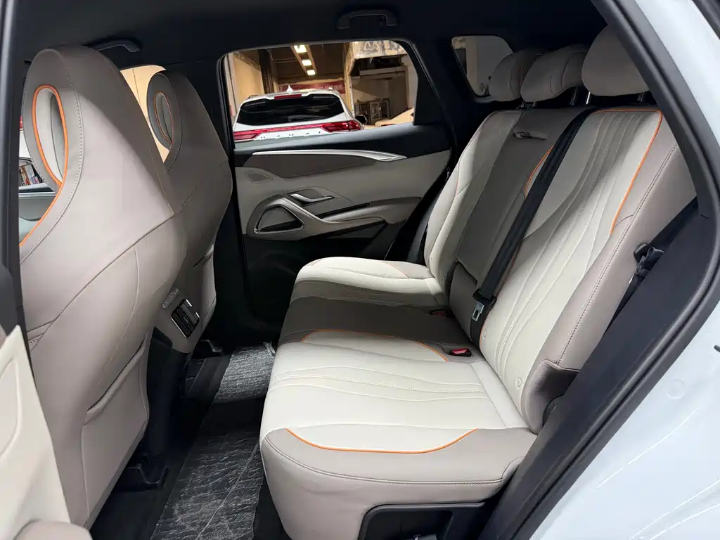 BYD Pro New Energy — миниатюра 11