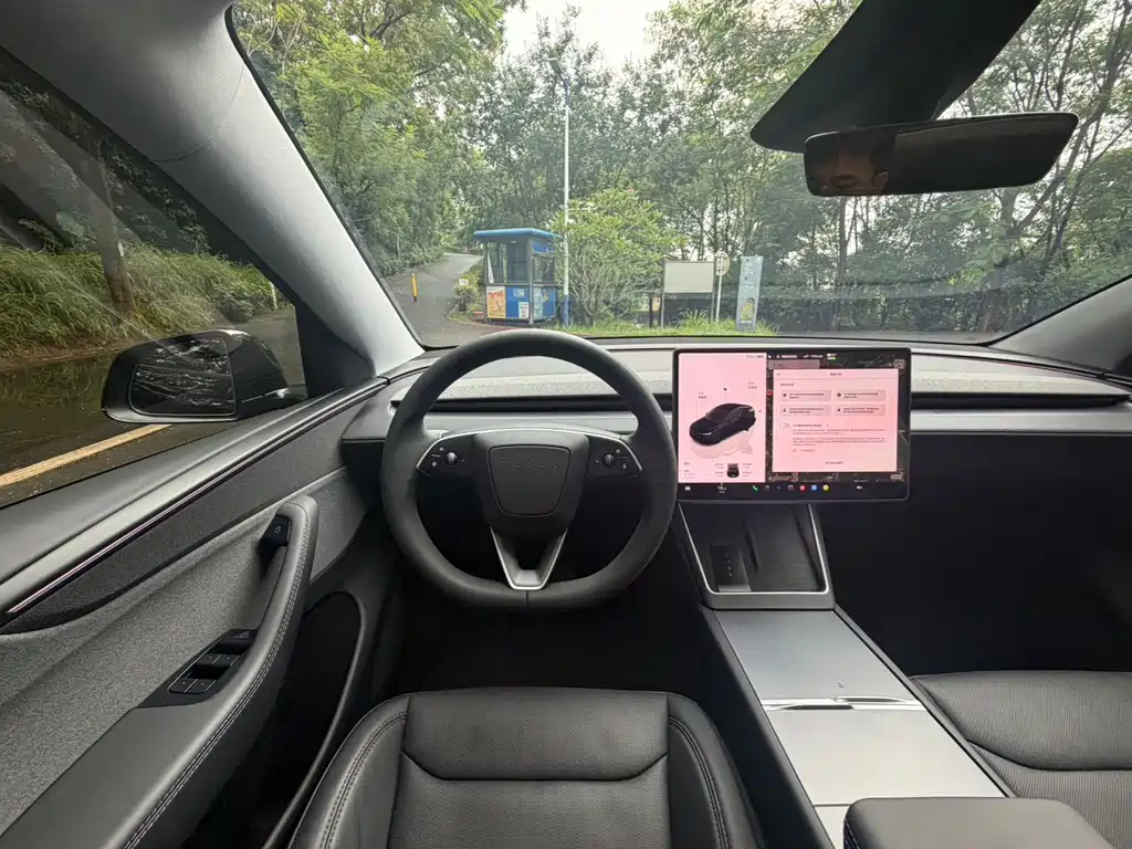 Tesla Model Y — миниатюра 10