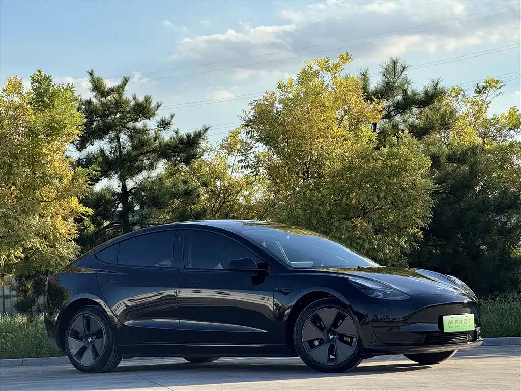 Tesla Model 3 — миниатюра 3
