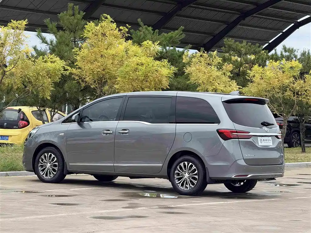 Buick GL8 — миниатюра 25